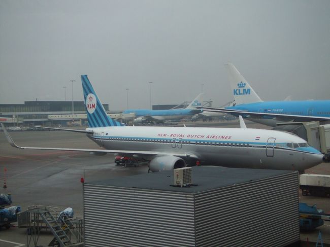 アムステルダム空港です。KLMの特別塗装機です。<br />長い南米旅行が終わりました。