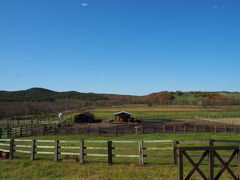 鶴居どさんこ牧場。
夏休みの北海道旅行の時からチャレンジしたいと思っていたのですが、天気とタイミングが合わずできていなかった乗馬。やっと来ることができました。
ヘイゼルグラウスマナーでもできるのですが、初心者にはどさんこの方が乗りやすそうだったのと、ホーストレッキングの内容が良さそうなのでこちらにしてみました。
要予約 (電話) です。
http://dosanko-farm.com/business_horse