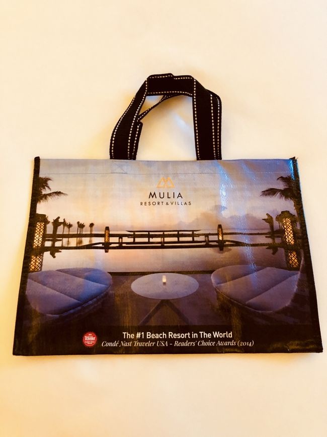 ムリアバック<br />写真だとサイズ感分からないですが結構大きいです！<br />これかなり重宝しました！ビニール生地なので、水に強いししっかりしているので荷物多めにいれても大丈夫