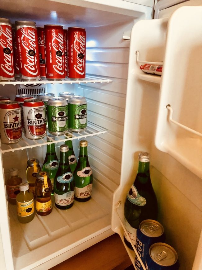 冷蔵庫の中身は有料<br />お水は無料で毎日5～6本補充してくれます。<br />冷蔵庫の冷えは弱い。