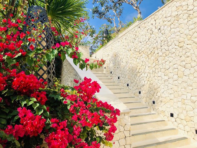 お花も鮮やかで、このベージュ色の石壁に映えます(^^)