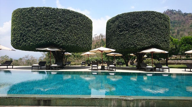 アマンジオのスイミングプールのシンボルですね<br /><br />お昼頃は日よけにちょうどいいポジションです<br />午後には太陽が照らすので移動しました