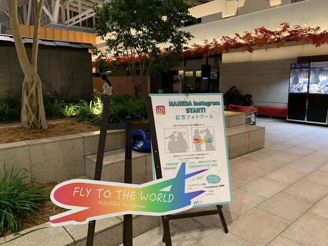 日曜日の深夜0時50分位の飛行機で出発。<br />初の深夜便。