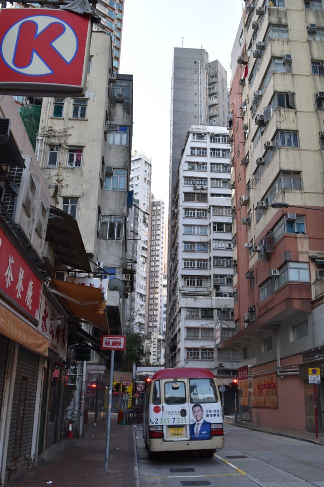 ホテル周辺をウロウロ。