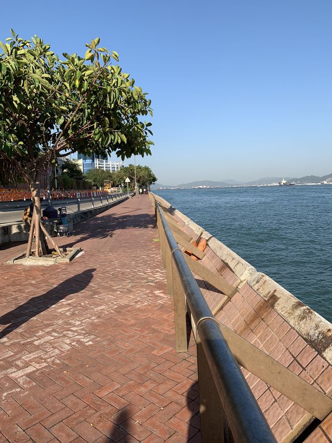 おじいさんと別れて、海の方へ。<br />GoogleMapでチェックしていたランニングが出来そうな場所の下見。<br />なんと！ランニングコースがあるではないか！