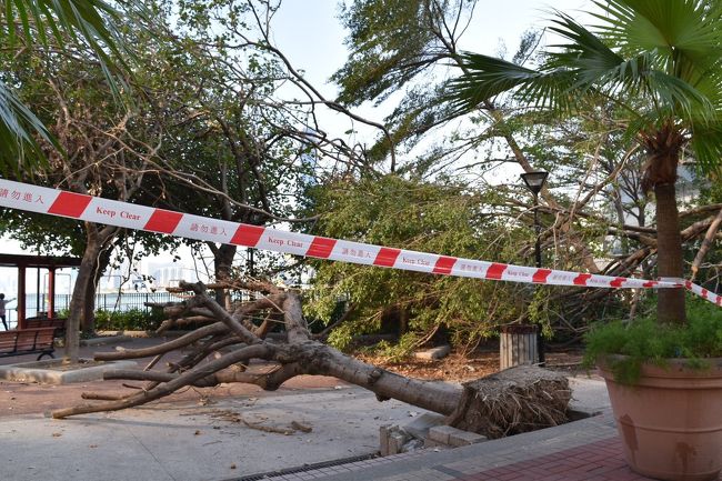 ありゃりゃ～。<br />怖いです。