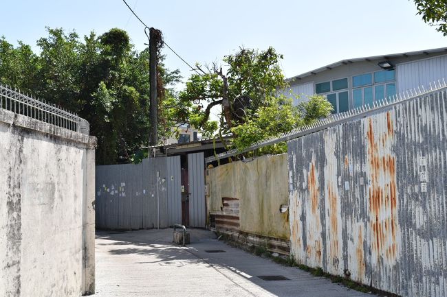 人っ子1人通ってない…。<br />こっちでいいのだろうか…