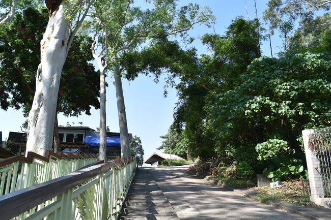 急な坂を登っていきます。<br /><br />ここまでに何回も道を間違えて登って降りてを繰り返してます。<br />GoogleMapが用をなさない。<br />