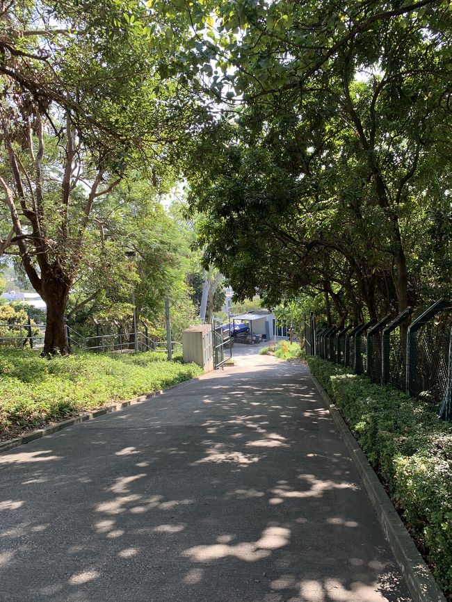 さてと、帰るか。<br /><br />下り坂って膝に厳しいのね。<br />膝を怪我した私には辛いが…。