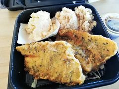 一息ついたらThe BUSに乗って、今度はカカアコへ。
ランチはカカアコキッチンのプレートランチ。
私のFurikake tempura catfish。

catfishはなまずです。Must Try!って書いてたから頼んでみたの。
なまずの身はとっても軽い～