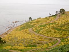 日本海に面した斜面に苦心して開墾された田が数多く広がり、海岸ギリギリまで続く風景。
僅か4ヘクタールの範囲に1004枚の田があるという。