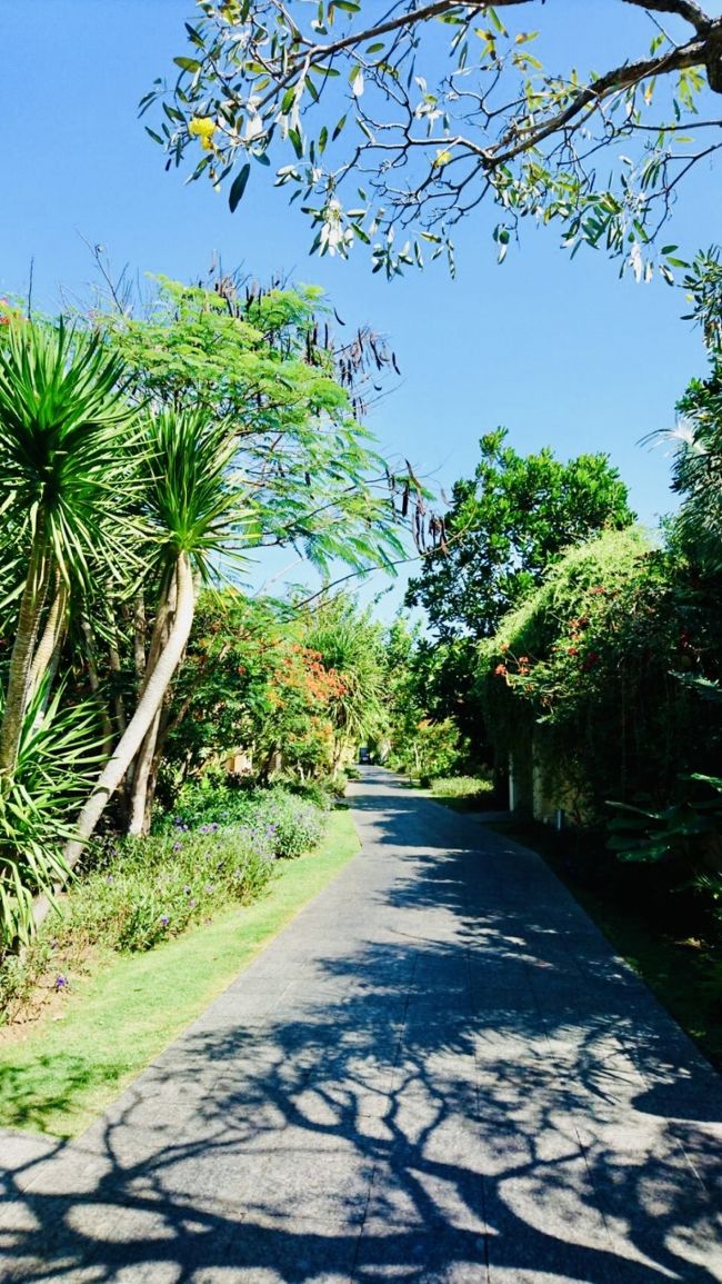 翌朝、朝食を食べに歩いてリビングルームへ。<br />ハチドリを見つけて感激しながら向かいます♪<br />毎日快晴が続いています(^_^)