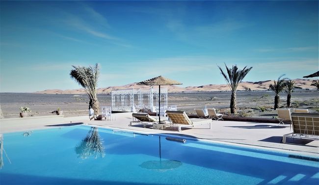 砂漠の一夜はLuxury♪化石探しは礫漠の荒野で【アダルト娘と旅する