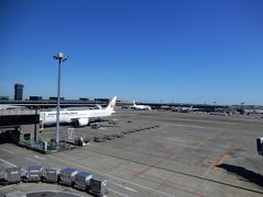 成田国際空港のＪＡＬ機