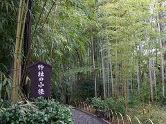 京都の竹林よりもいい感じ。