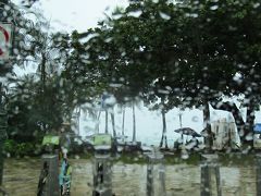 車を回してもらい・・・

カラカウア通りを通って！
ワイキキビーチも雨・・・