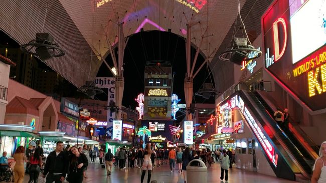 くたくたなはずなのに、ついて早々Zipline　みて大興奮ｗ<br /><br />