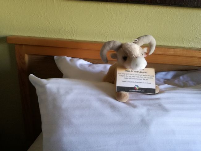 yapavaiロッジはこんな子が「take me home!」だって<br /><br />グラっとしたけど　多分大切にできないので置いてきました。<br /><br /><br />