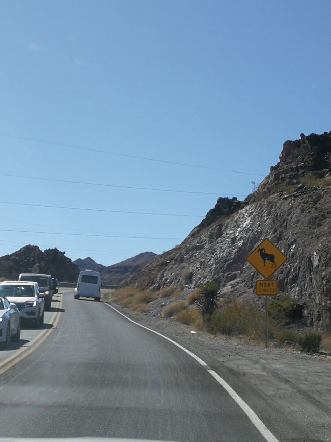 バッファロー注意？