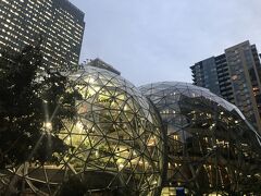 夕暮れが迫りつつある中、Amazon spheresまで歩いてきました。

中の見学は事前の予約が必要ですが、under story と言うほんの一部分のエリアだけならぷらっと入れます。