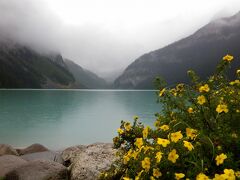 この日は、レイクルイーズとコロンビア大氷河をめぐる現地ツアーに参加した。

他の人たちはバンフから出発して私たちはルイーズ湖からの参加だったが生憎の小雨模様。霧のレイクルイーズを出発した。