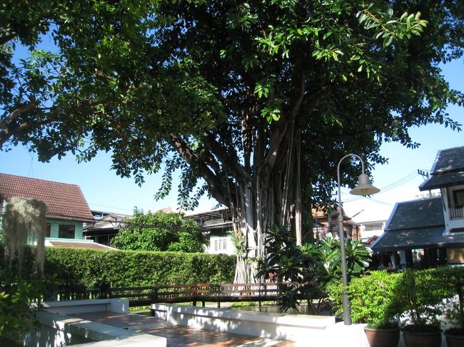 最終日の朝<br /><br />本当に良いホテルのリンピンビレッジ。