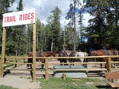 Banff Trail Riders　フェアモントバンフスプリングスホテルの近くにある。
けっこうな人気で予約の人がたくさん集まってきた。