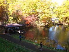 遊歩道から湧水池の景観です…、黄色や赤色なりに色付いてますね～、

秋が深まりゆく中で、

＊詳細はクチコミでお願いします