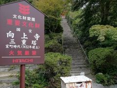 では向上寺の国宝三重塔へ