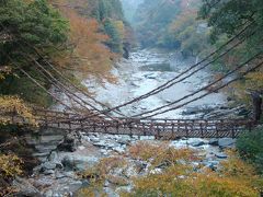 旅館から橋まで１０分かからないので、朝早く人のいない時間を狙って行きます