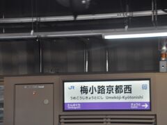 　この駅開業してから初めての乗車です。
　乗りつぶしサイトレイルラボでは、駅の開廃業や移設した場合乗り直しが必要となります。
　そのためわざわざ乗りに来ました。(笑)