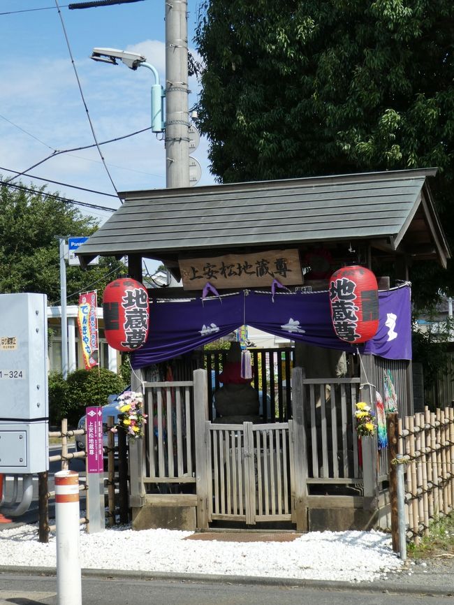 トトロに会いにいこう ミッションはトトロの看板を探せ トトロの森 の51カ所制覇 年3月19日に52号地を取得です 所沢 埼玉県 の旅行記 ブログ By ちちぼーさん フォートラベル