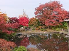 札幌市清田区 「平岡樹芸センター」