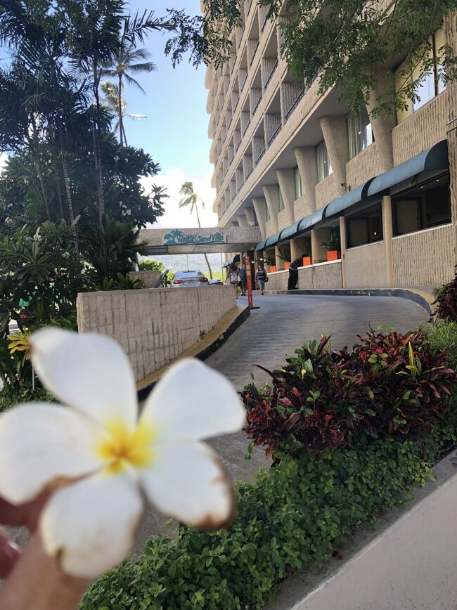 到着～ツアーについてる送迎バスでホノルルへ。ホテルはワイキキサンドヴィラ！