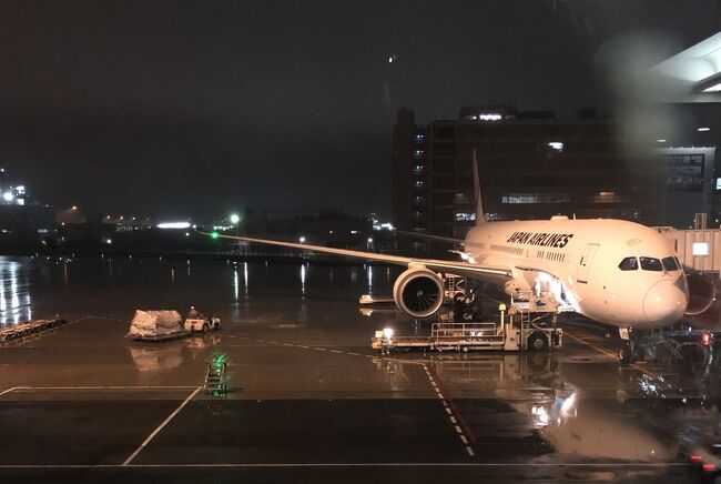 昨年の娘ちゃんとのハワイは関空が台風被害で閉鎖してしまいツアー変更で福岡からソウル乗り継ぎ、しかもLCCだったから今回は天国です（笑）