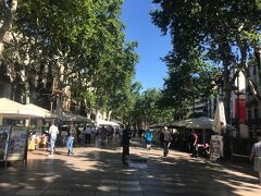 ランプラス通り。カタルーニャ広場からコロンブスの塔がある港まで約1km 余りの並木道。
この通りに有るレストランは高い、不味いと評判が悪い。