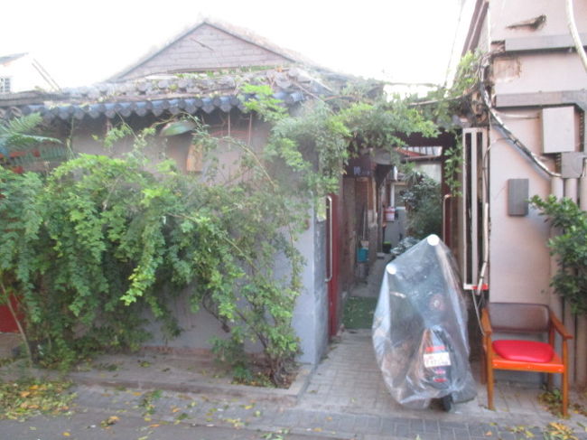 いいですね～。