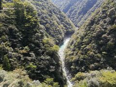 こんぴらさん参りで幸せになったところで、お次は祖谷渓へ。
足がパンパンですが(笑)ドライブです。

どのあたりが見どころかよくわからなかったのですが、クルマが3台ほど停められる展望台のようなところがあったので、そこに行ってみます。
絶景です。
