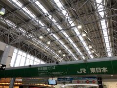 旅の起点はお馴染み、小田原駅。

ＪＲ東日本の改札の上に吊るされていた大きな小田原提灯は、台風１９号の影響で外側の和紙が破れ、中の骨組みがむき出しになったことから、取り外されました。
