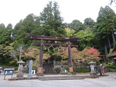 次は、戸隠神社中社。

このあたりに大きなパーキング（有料）があり、そこに車を停めて観光しました。