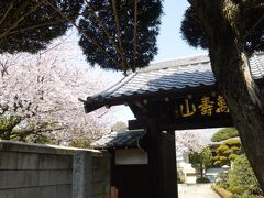 万寿山 松応時
曹洞宗のお寺

立派な山門の向こう、桜が満開！