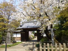 道を1つ挟んでお寺
桜だ桜だっ

普明山 西照寺
曹洞宗のお寺