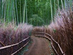 嵐山 竹林の小径