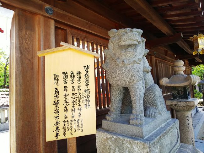 え?いきなり福岡出張ですか!?(^o^) 天神界隈食べ歩き 出張寄り道編