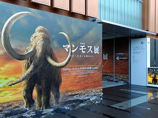 旅の気分で展覧会 マンモス展 その 生命 は蘇るのか お台場 東京 の旅行記 ブログ By 茶柱たつこさん フォートラベル 旅の気分で展覧会 マンモス展 その 生命 は蘇るのか お台場 東京 の旅行記 ブログ By 茶柱たつこさん フォートラベル