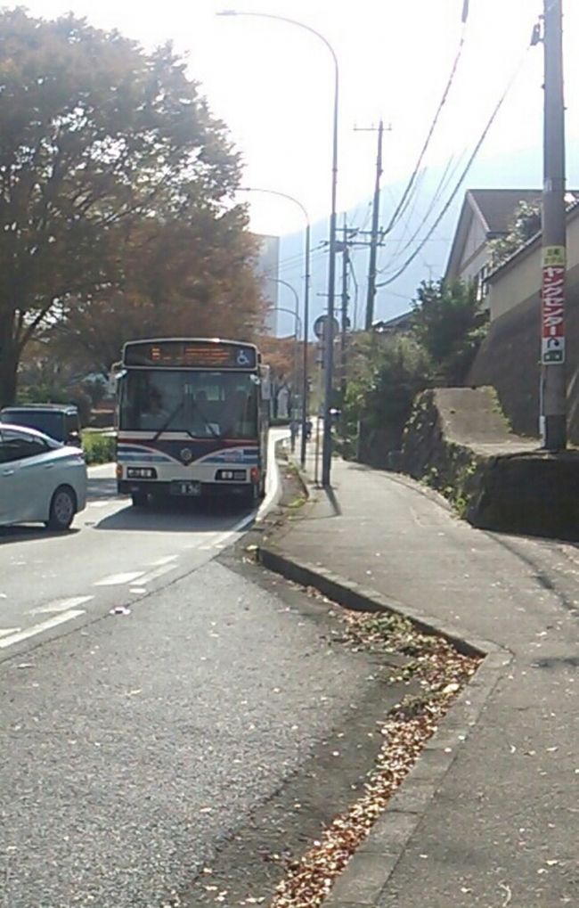 九州ネット早特３ で行く日帰り ワンデー別府 後編 別府温泉 大分県 の旅行記 ブログ By フロンティアさん フォートラベル