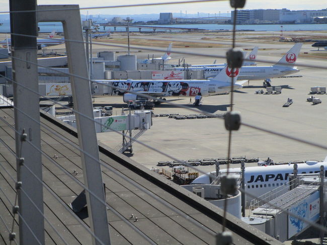 あまりに時間か早くて、久しぶりに展望デッキに行ってみた。<br />東京は良い天気