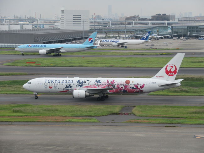 飛行機を眺めながら、時間までまったり