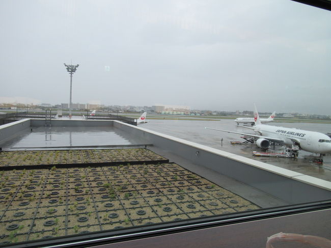 結構な雨が降ってます