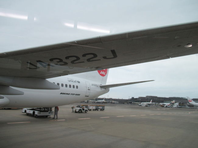 成田ではまさかのバス移動。この時まだ雨は降ってませんでした。